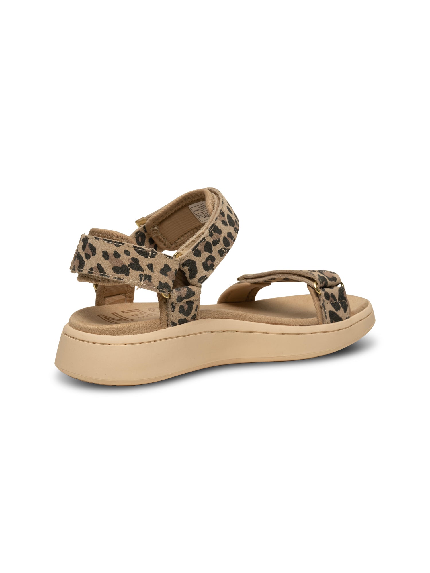 Line Suede - Leopard